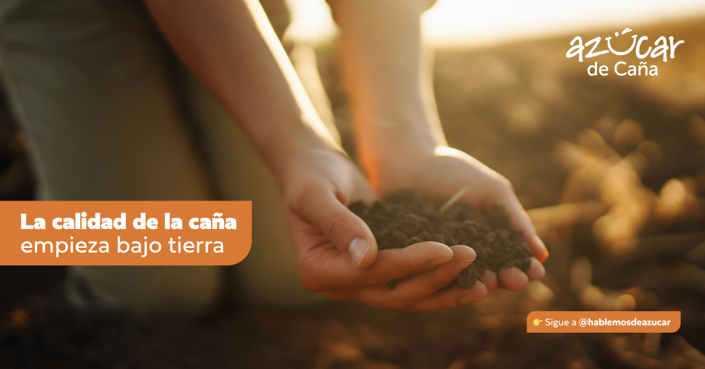 Hablemos de azúcar - $p_title