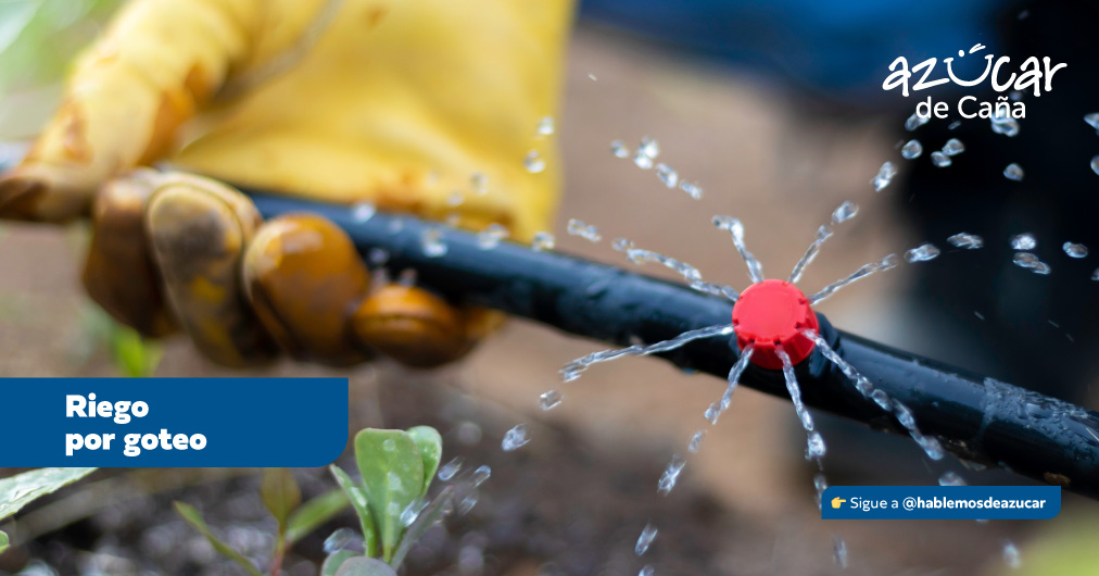 Hablemos de azúcar - $p_title