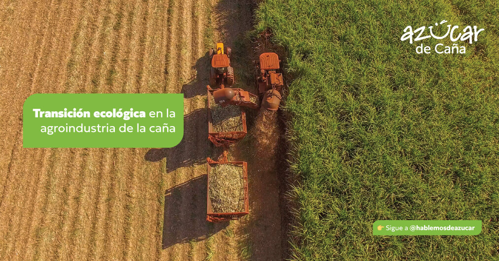 Hablemos de azucar - Modelo de desarrollo sostenible en la caña de azúcar