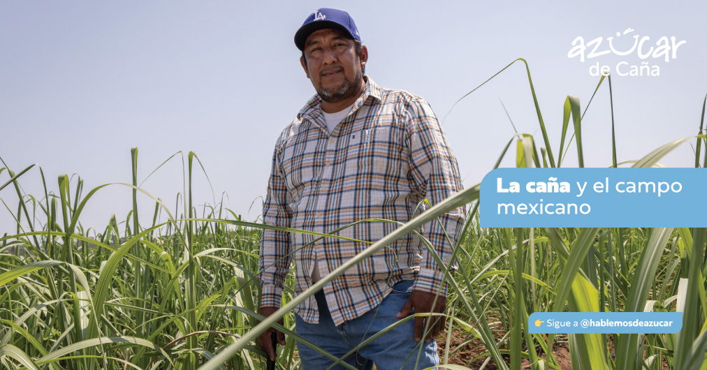 Hablemos de azúcar - $p_title